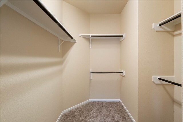 walk in closet with carpet flooring