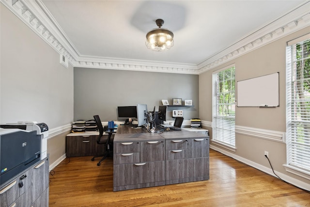 7711 Oxfordshire Dr, Spring, TX 77379 - office area featuring light wood-type flooring, ornamental molding, and plenty of natural light