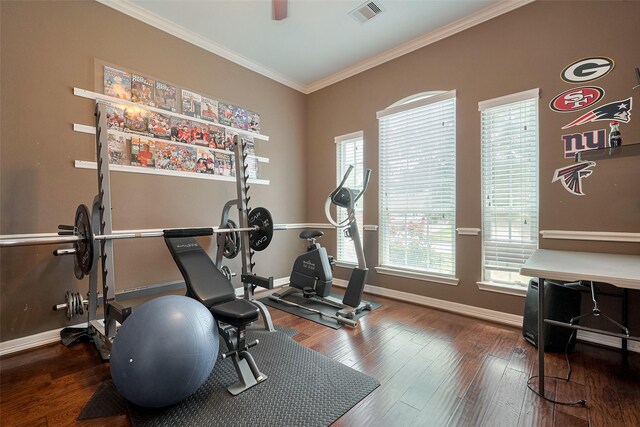 exercise area with visible vents, baseboards, crown molding, and a healthy amount of sunlight