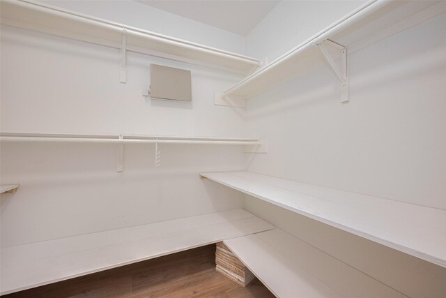 walk in closet featuring wood finished floors