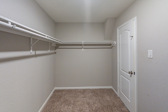 walk in closet with carpet floors