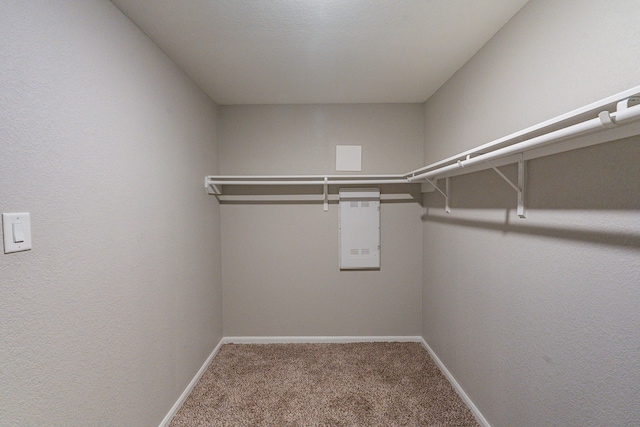spacious closet with carpet floors and electric panel