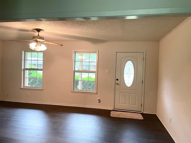 foyer with a ceiling fan, a textured ceiling, plenty of natural light, and dark wood-type flooring