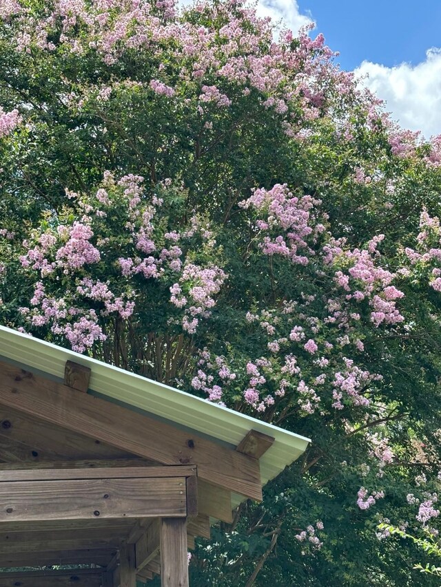 view of details