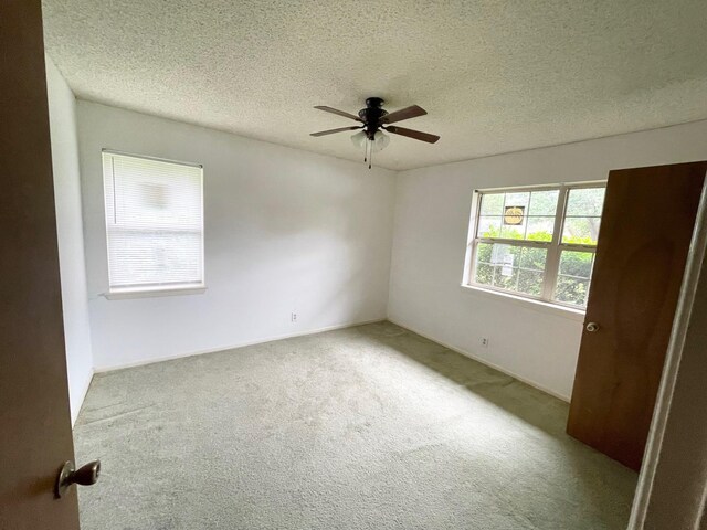empty room featuring ceiling fan, carpet flooring, and a textured ceiling