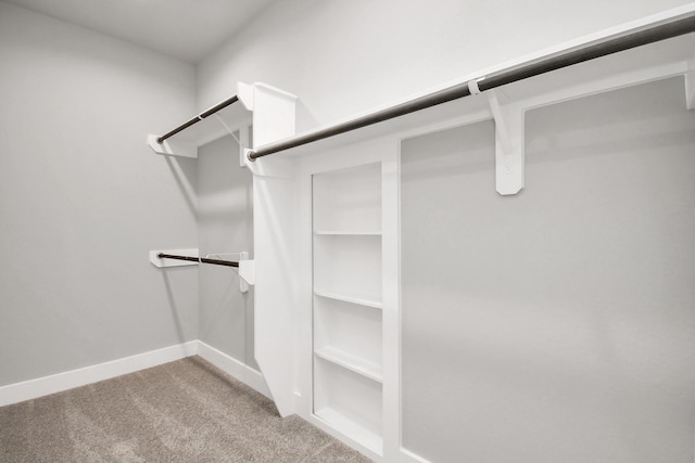 walk in closet with light carpet