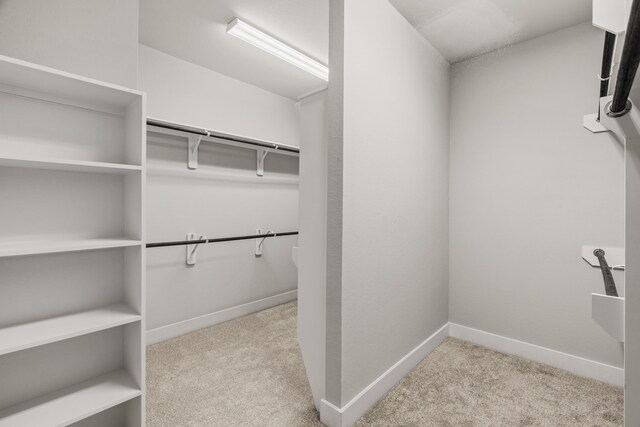 spacious closet with carpet floors