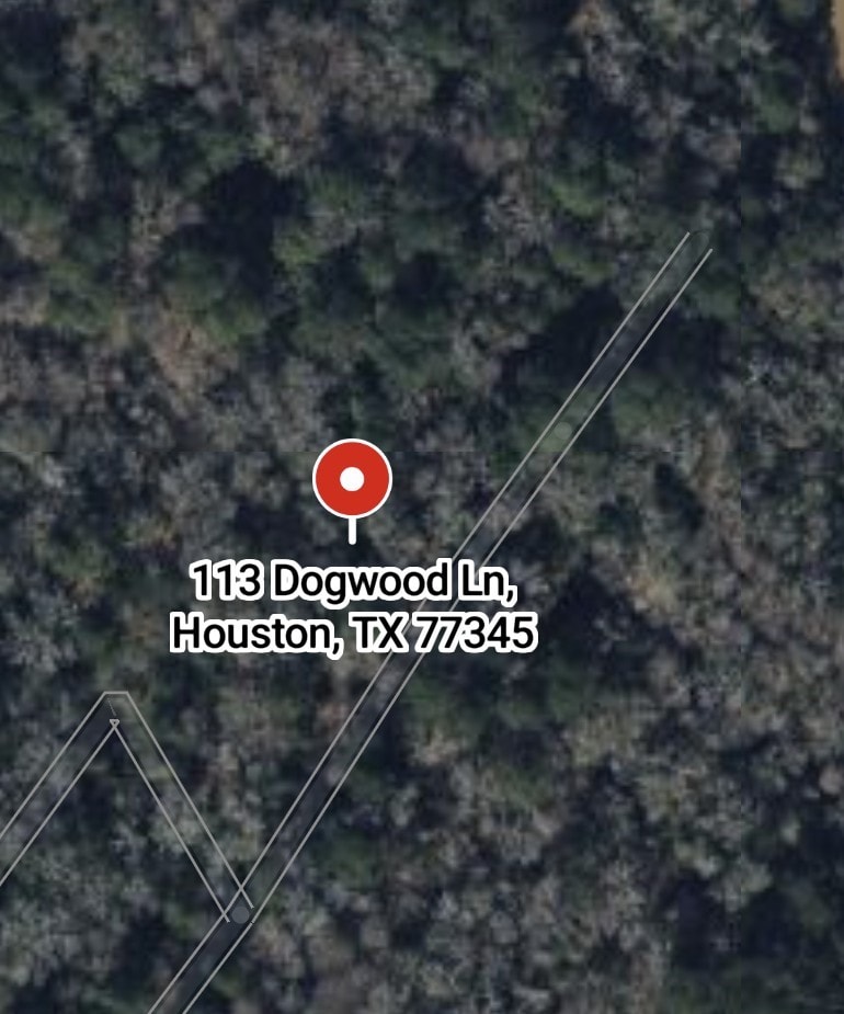 114 Dogwood Ln, Houston, TX 77365 - photo 3