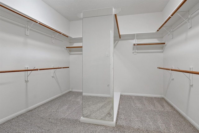2126 Fortuna Bella Dr, Pearland, TX 77581 - spacious closet with carpet floors
