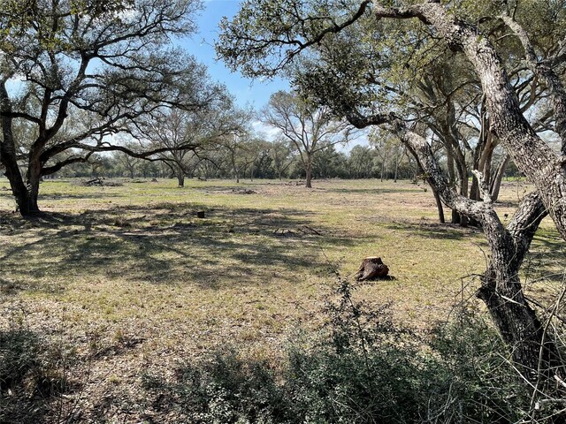 1291 County Road 2152, Sheridan, TX 77475 - photo 2