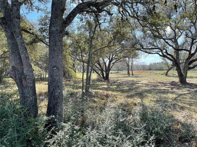 1291 County Road 2152, Sheridan, TX 77475 - photo 3