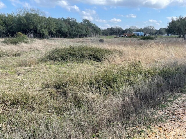 1291 County Road 2152, Sheridan, TX 77475 - photo 6