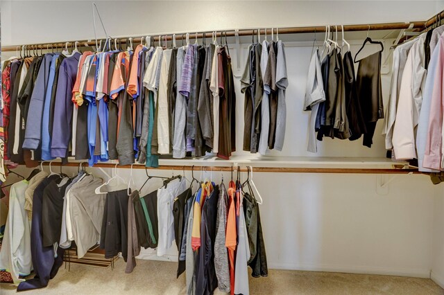 walk in closet with carpet flooring