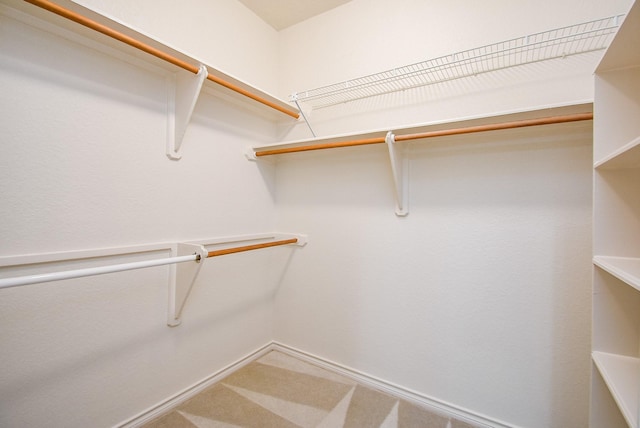 6007 Gideon Ct, Sugar Land, TX 77479 - view of spacious closet
