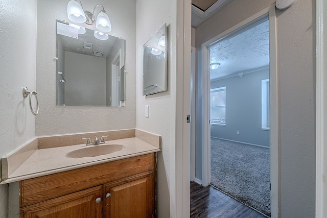 bathroom featuring wood finished floors and vanity