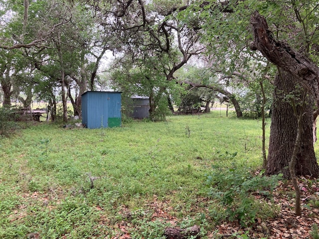 view of yard with an outbuilding and a storage shed