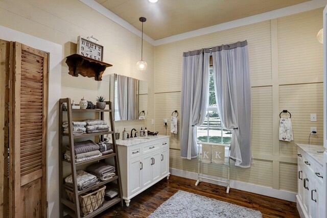 bathroom with vanity, wood finished floors, and a wealth of natural light