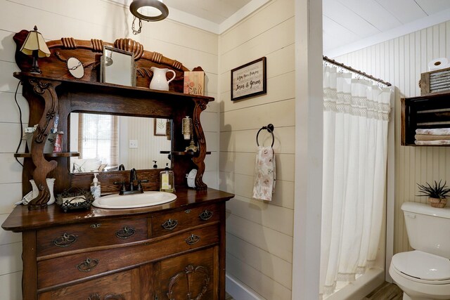 bathroom featuring toilet, curtained shower, and vanity