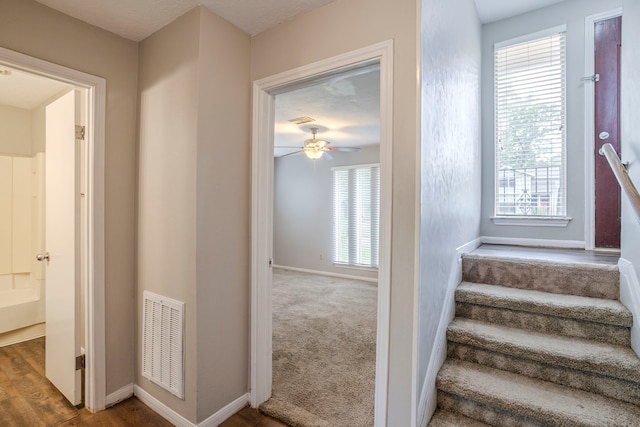 3015 Glen Spring Dr, Houston, TX 77339 - photo 10
