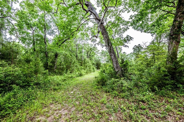16/-ACRES Parker Rd, New Waverly, TX 77358 - photo 8