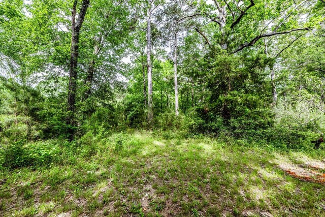 16/-ACRES Parker Rd, New Waverly, TX 77358 - photo 12