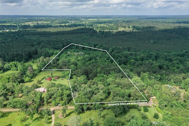 16/-ACRES Parker Rd, New Waverly, TX 77358 - photo 1