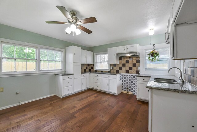 kitchen with a ceiling fan, backsplash, a sink, under cabinet range hood, and dark wood-type flooring