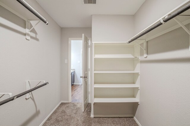 spacious closet with carpet flooring