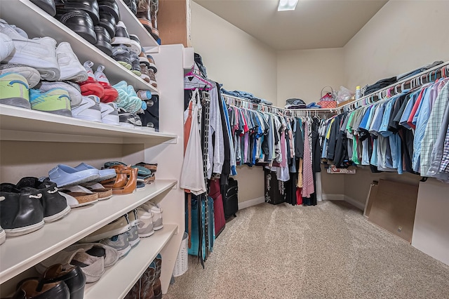 spacious closet featuring carpet