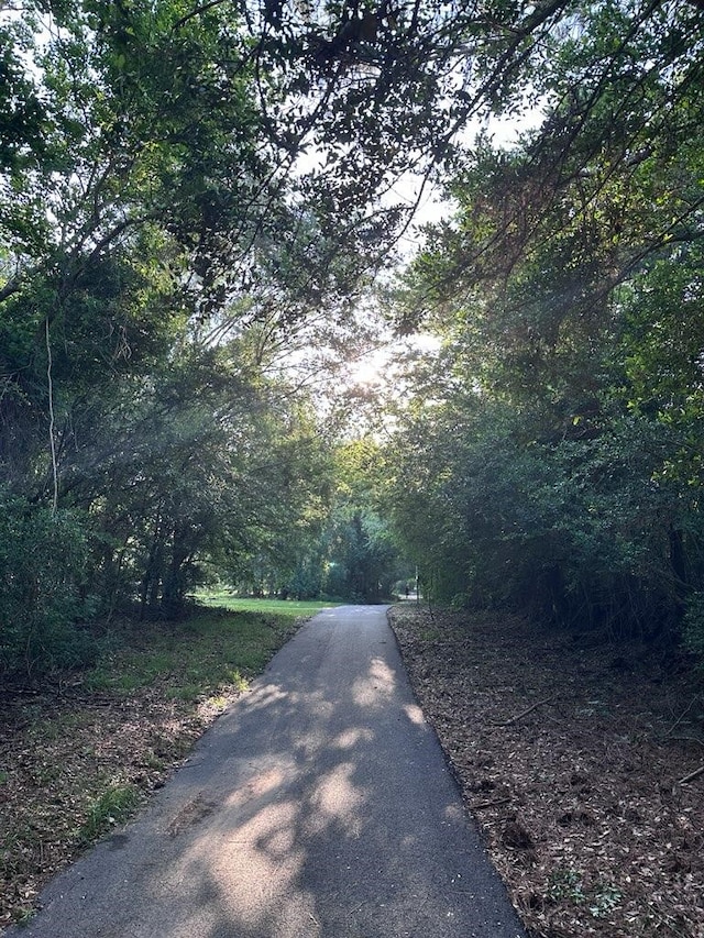 view of street featuring a wooded view