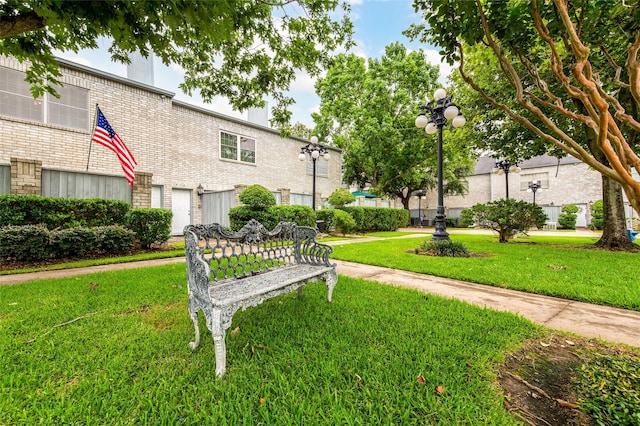 view of community with a yard