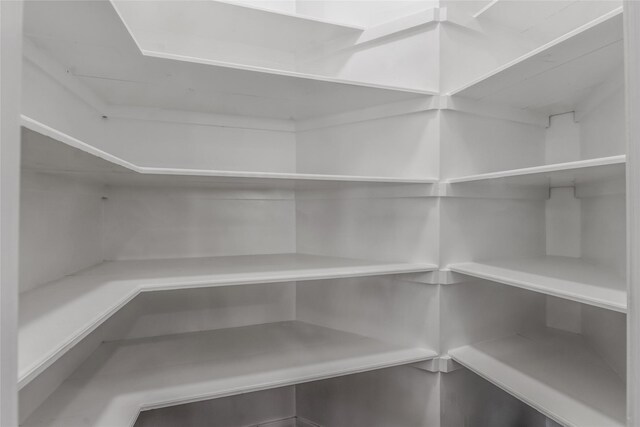 3515 Emerald Falls Ct, Houston, TX 77059 - view of pantry