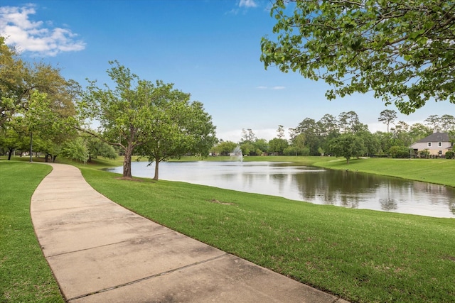 25702 Serene Spring Ln, Spring, TX 77373 - water view