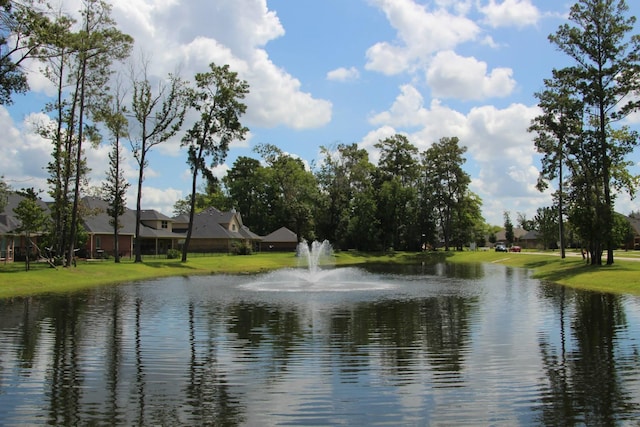 25702 Serene Spring Ln, Spring, TX 77373 - water view