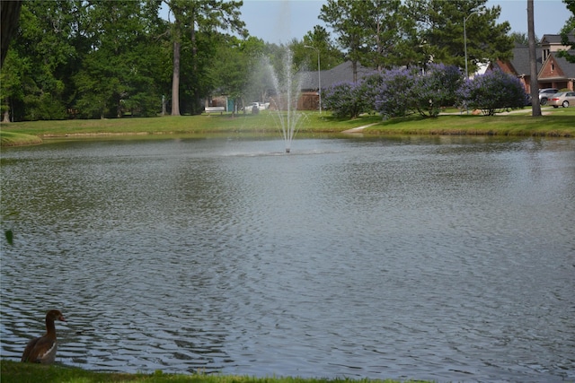 25702 Serene Spring Ln, Spring, TX 77373 - water view
