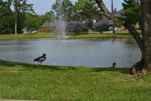 25702 Serene Spring Ln, Spring, TX 77373 - water view