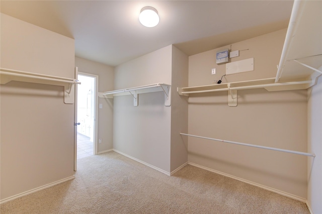 walk in closet featuring carpet floors