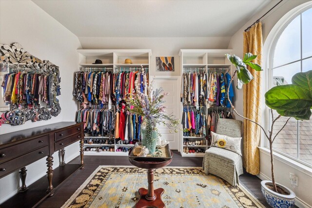 spacious closet featuring wood finished floors