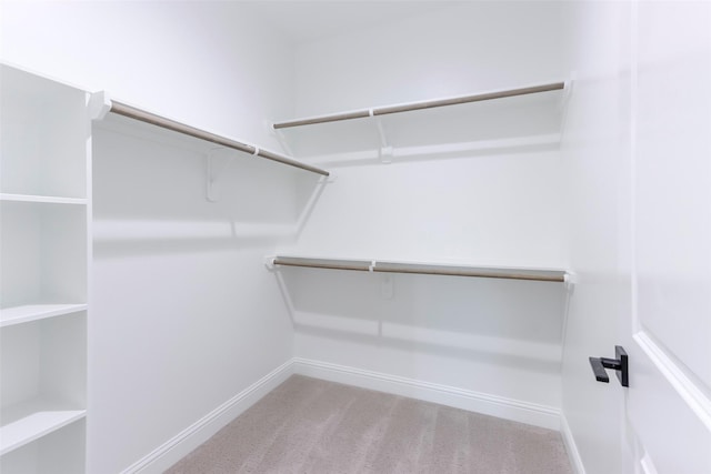 walk in closet featuring carpet floors