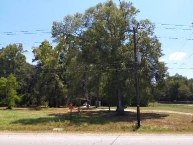 26664 Fm 1485, New Caney, TX 77357 - photo 1