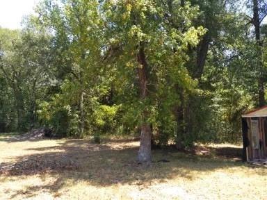 26664 Fm 1485, New Caney, TX 77357 - photo 5