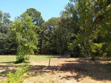 26664 Fm 1485, New Caney, TX 77357 - photo 6