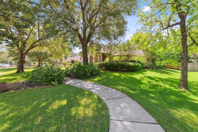 13201 Autumn Ash Dr, Conroe, TX 77302 - photo 10