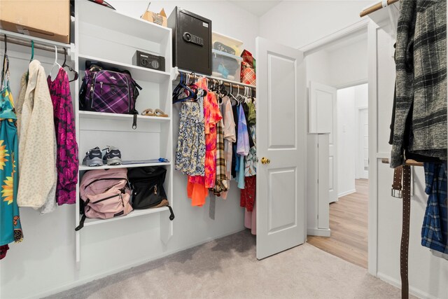 spacious closet featuring carpet flooring