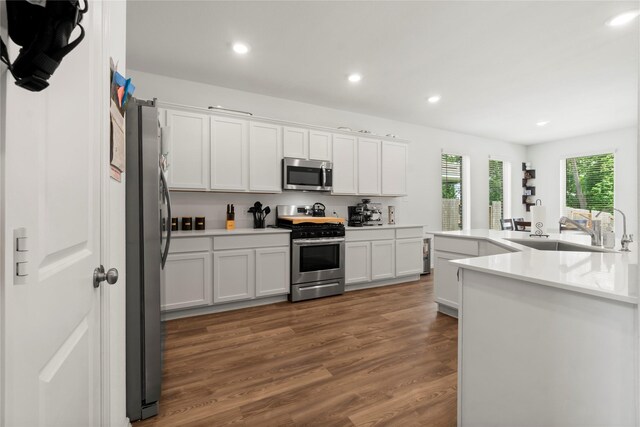 kitchen with appliances with stainless steel finishes, a sink, dark wood finished floors, recessed lighting, and white cabinetry