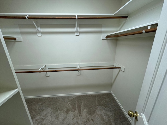 spacious closet with carpet flooring