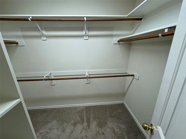 16407 Thyme Green Ln, Cypress, TX 77433 - walk in closet featuring carpet floors