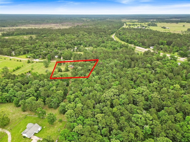 293 Ghost Branch Rd, Trinity, TX 75862 - photo 2