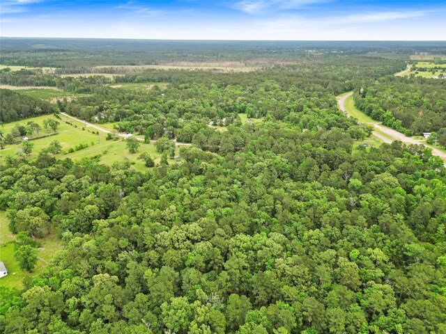 293 Ghost Branch Rd, Trinity, TX 75862 - photo 12