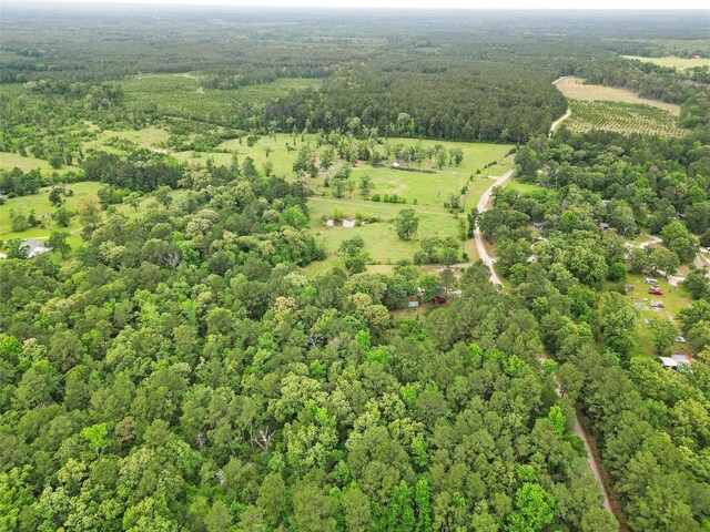 293 Ghost Branch Rd, Trinity, TX 75862 - photo 13